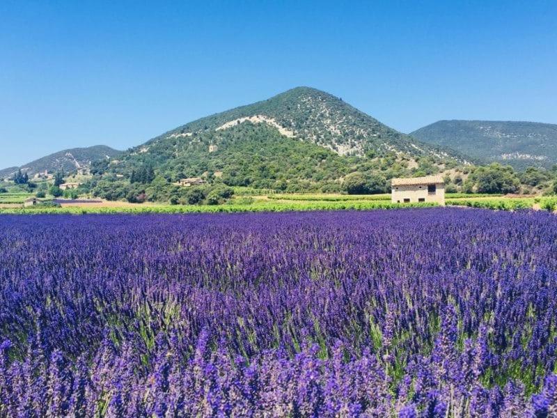 مبيت وإفطار نييون La Benvingude المظهر الخارجي الصورة